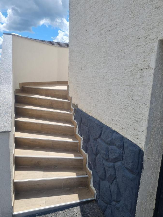 Apartman Ruzic Sveti Ivan Zabno エクステリア 写真